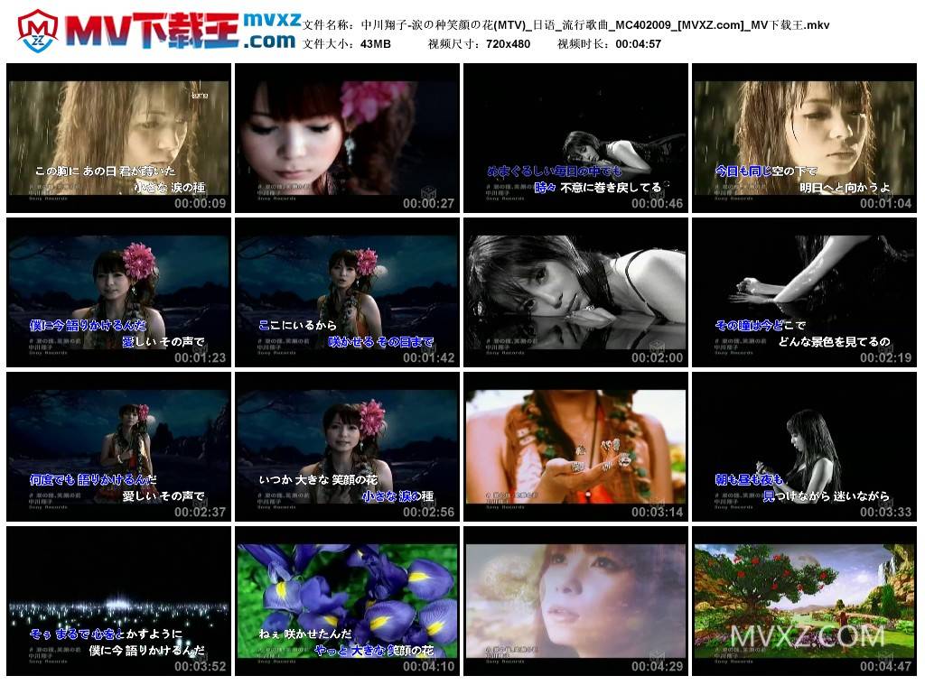 中川翔子-涙の种笑顔の花(MTV)_日语_流行歌曲_MC402009